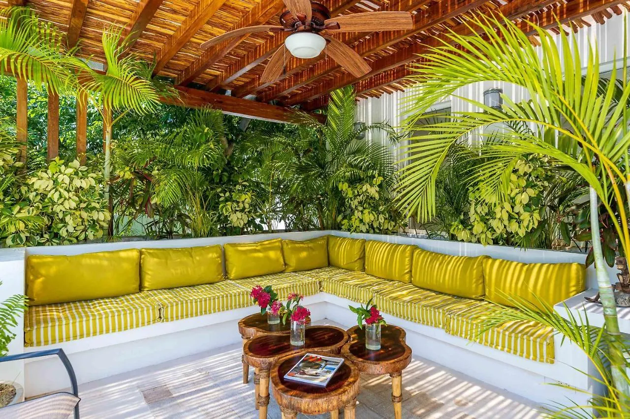 טולום Villa Calma, Chic & Mexican Villa, A True Oasis Pool, Security 0*,  מקסיקו